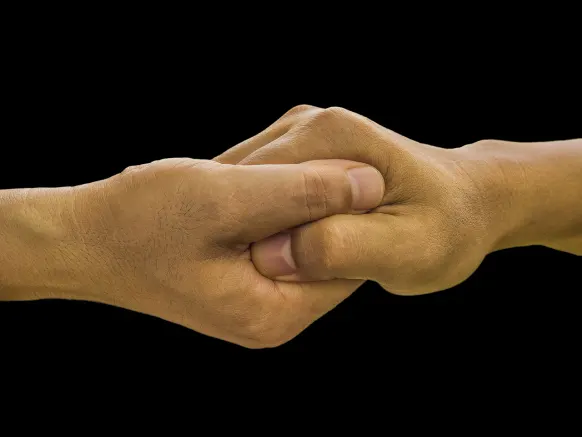 Punt Casino Stuðningur